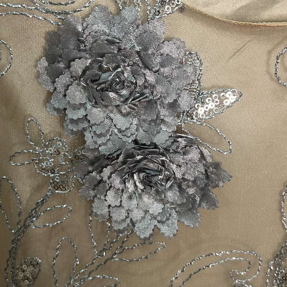 Embroidered Dress Mini Gown Silver Tulle Formal Dance Holiday Party New Years - Picture 6 of 13